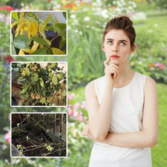 Universal Plant ï¼?Flower Activation Liquid Solution