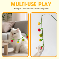 📢📢HOT SALE !!!✨Interactive Fruit-Shaped Catnip Toy String