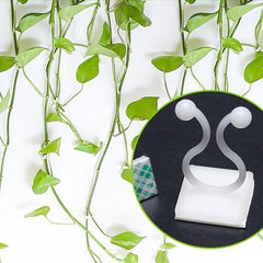 Plant Climbing Wall Clip Self-Adhesive Hook