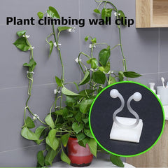 Plant Climbing Wall Clip Self-Adhesive Hook