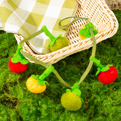 📢📢HOT SALE !!!✨Interactive Fruit-Shaped Catnip Toy String